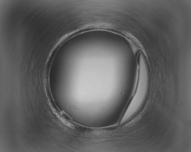 X0000083000989200702230122