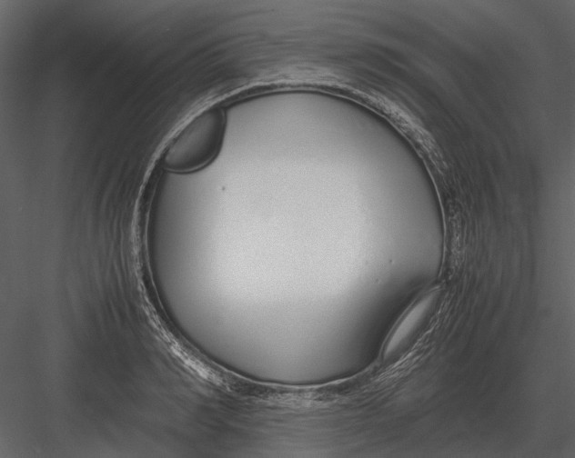 X0000083000990200702230122