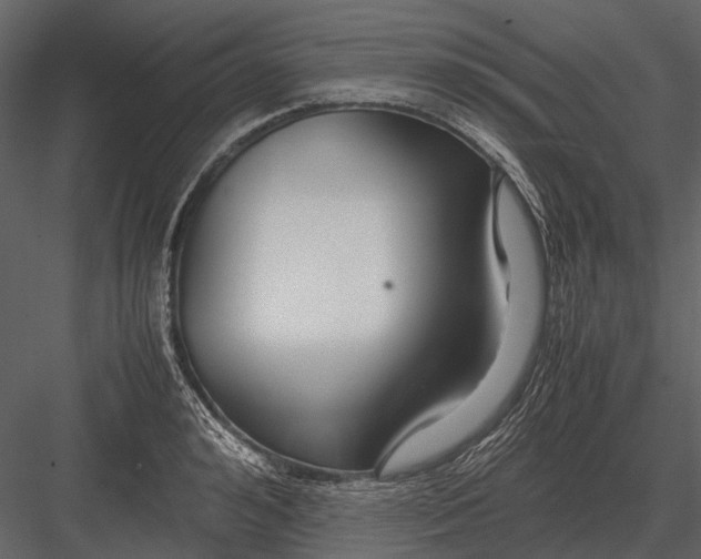 X0000083000992200702230122