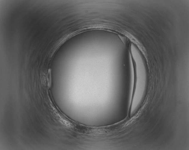 X0000083000993200702230122