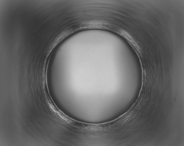 X0000083000994200702230122