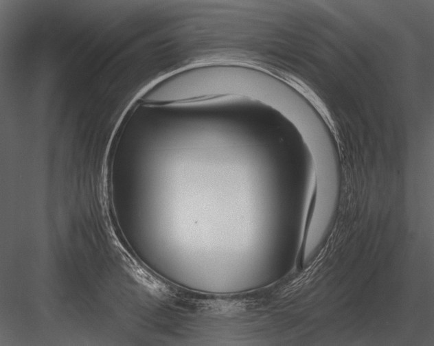 X0000083000996200702230122