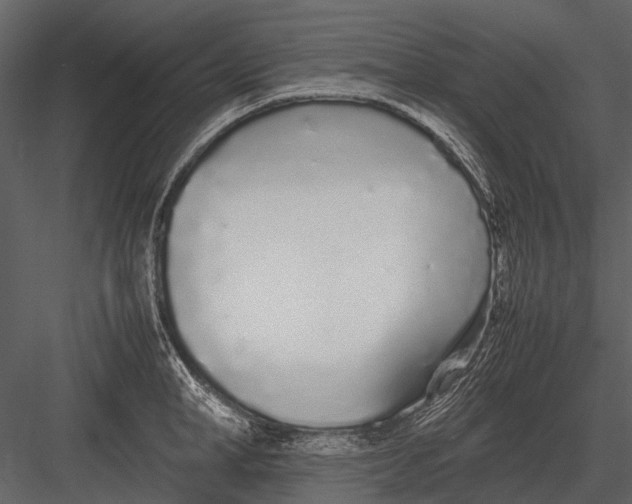 X0000083000998200702230122