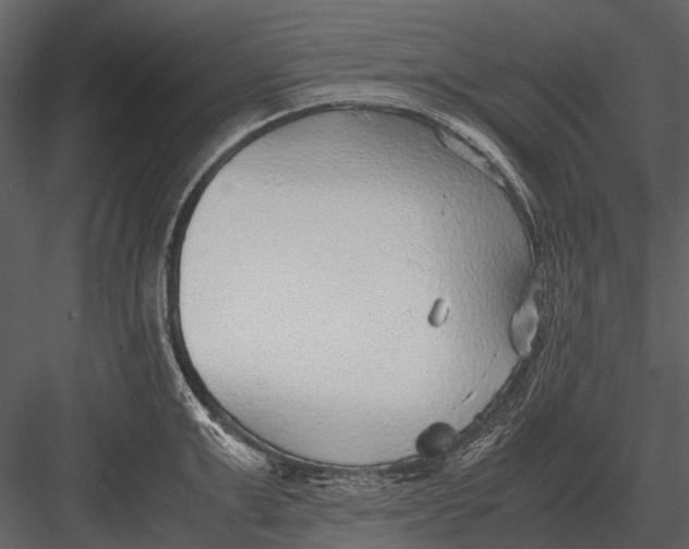 X0000083000999200702230122