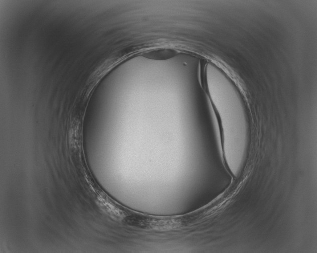 X0000083001001200702230122