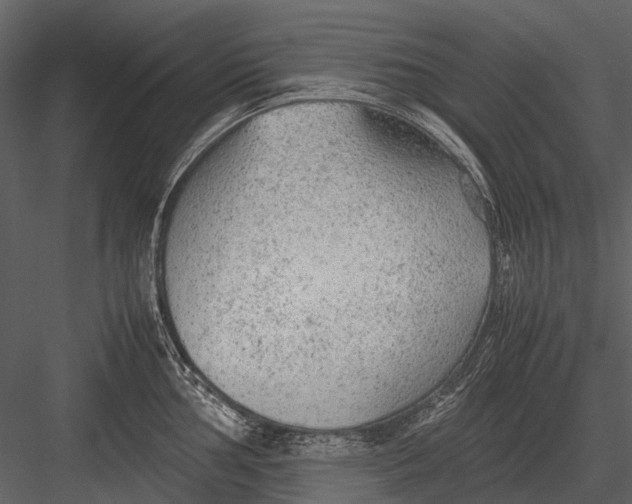 X0000083001002200702230122