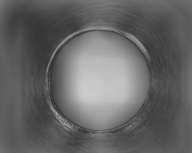 X0000083001004200702230122