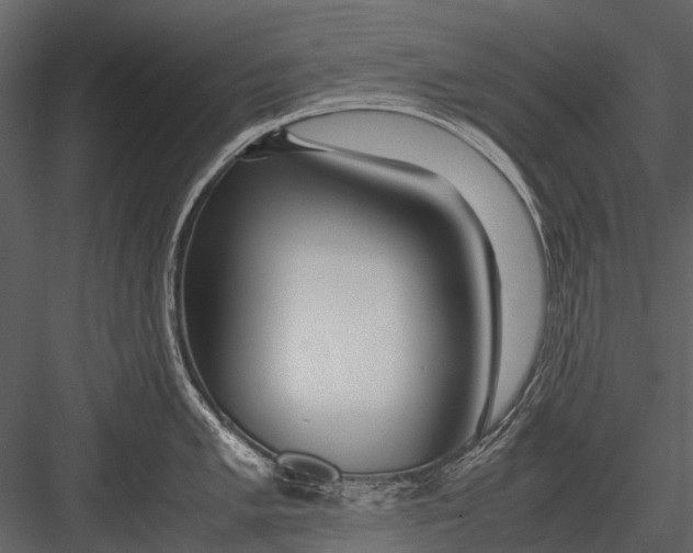 X0000083001005200702230122