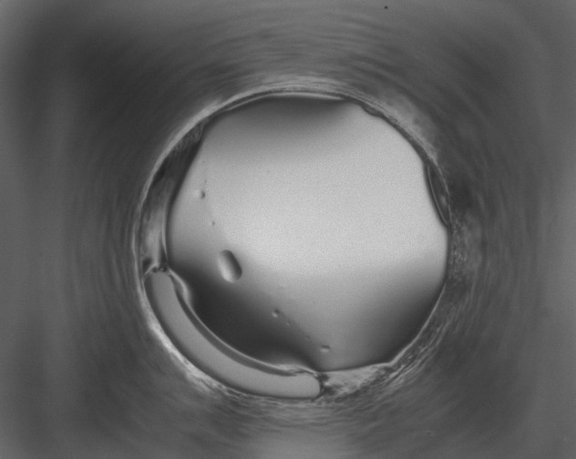 X0000083001007200702230122