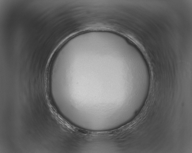 X0000083001008200702230122