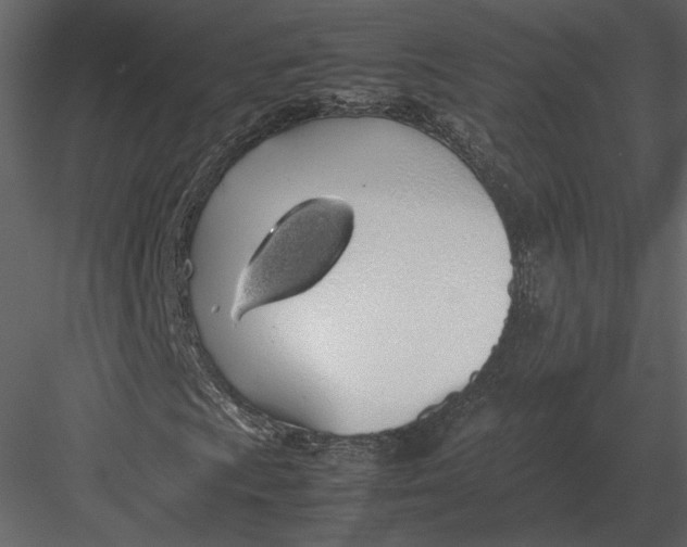 X0000083001009200702230121