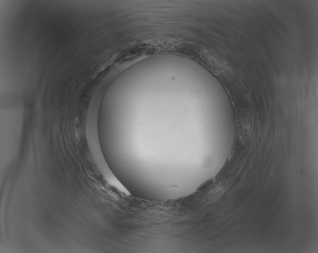 X0000083001010200702230121