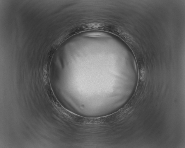 X0000083001011200702230121