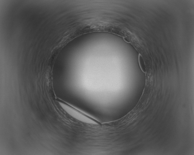 X0000083001012200702230121