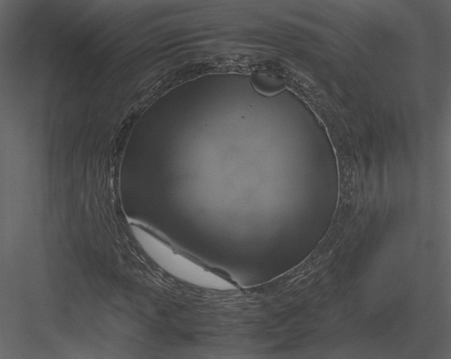 X0000083001013200702230121