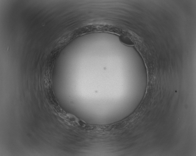 X0000083001014200702230121