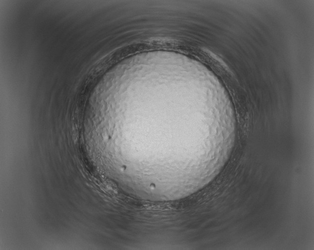 X0000083001015200702230121