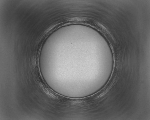 X0000083001017200702230121