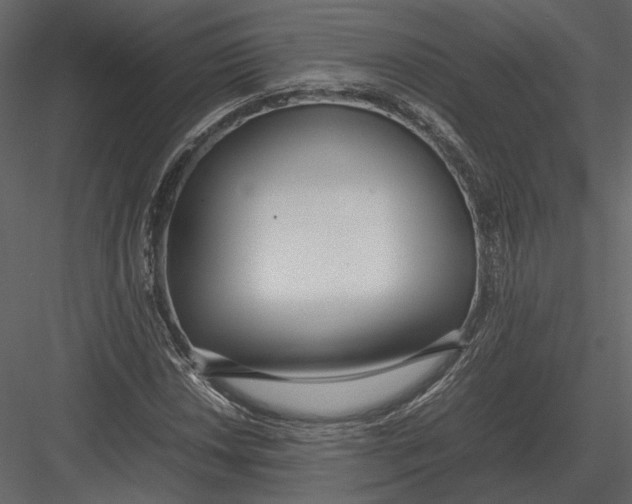 X0000083001018200702230121