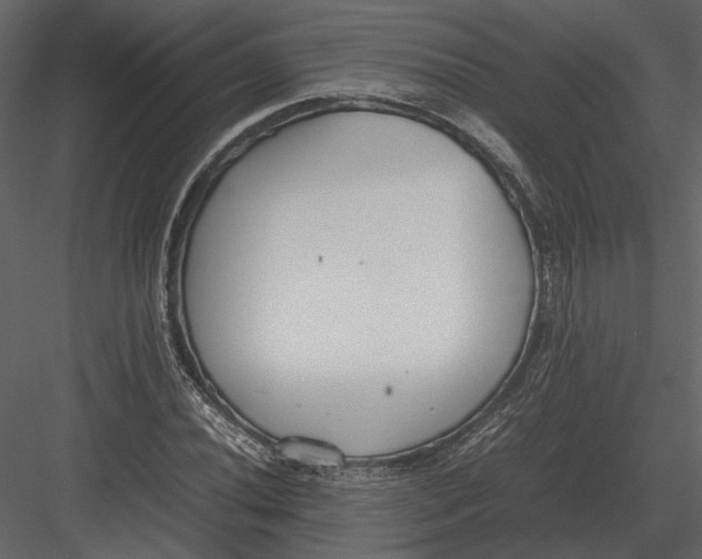 X0000083001020200702230121