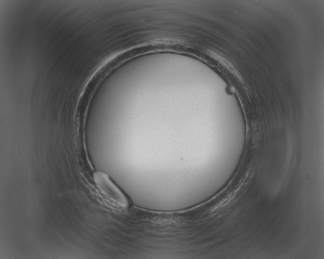 X0000083001021200702230121