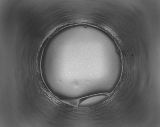 X0000083001023200702230121