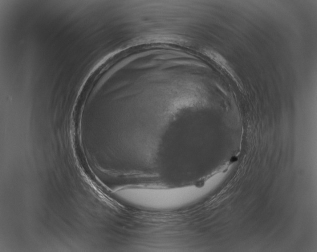 X0000083001024200702230121