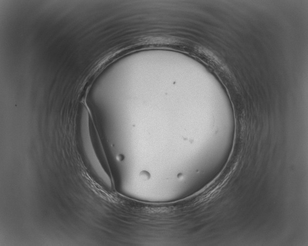 X0000083001025200702230121