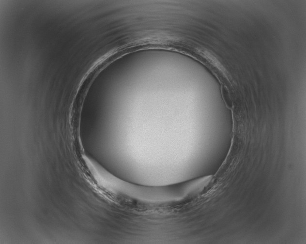 X0000083001026200702230121