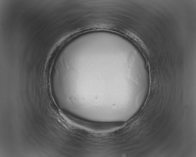 X0000083001027200702230121