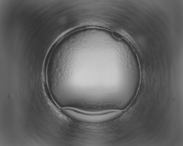 X0000083001028200702230121