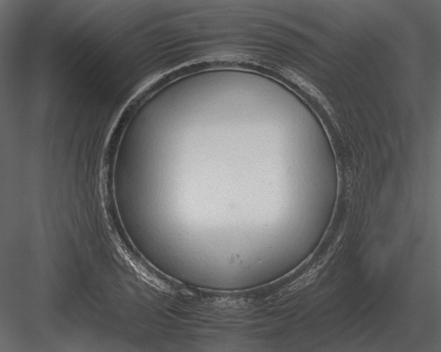 X0000083001029200702230121