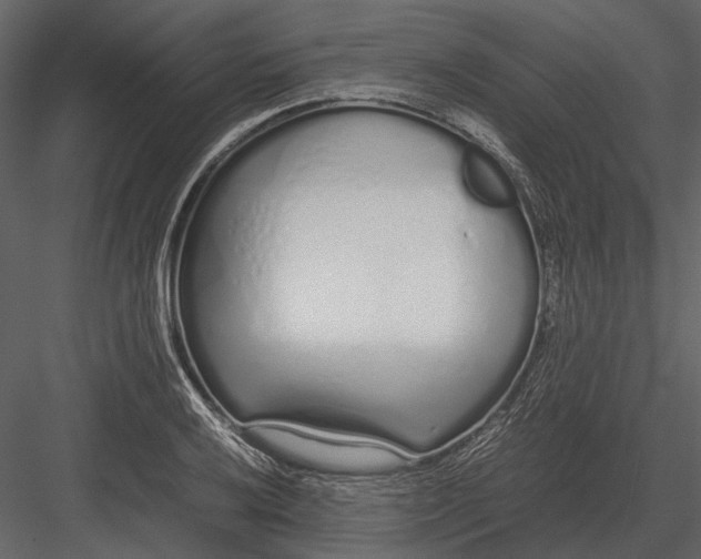 X0000083001032200702230121