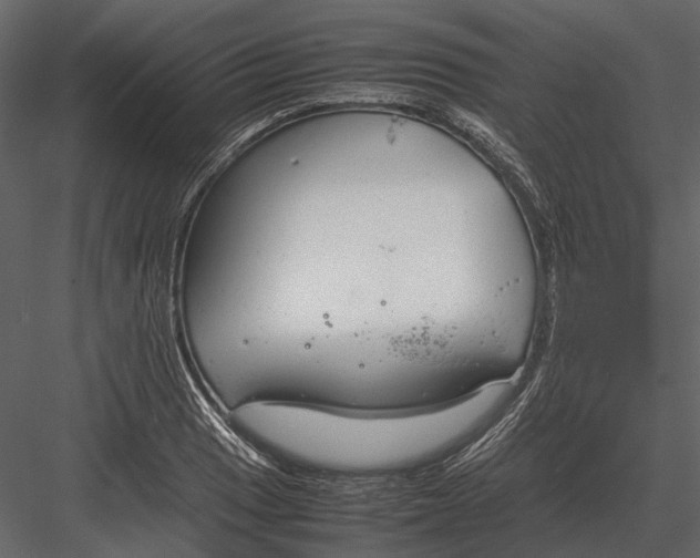 X0000083001033200702230121