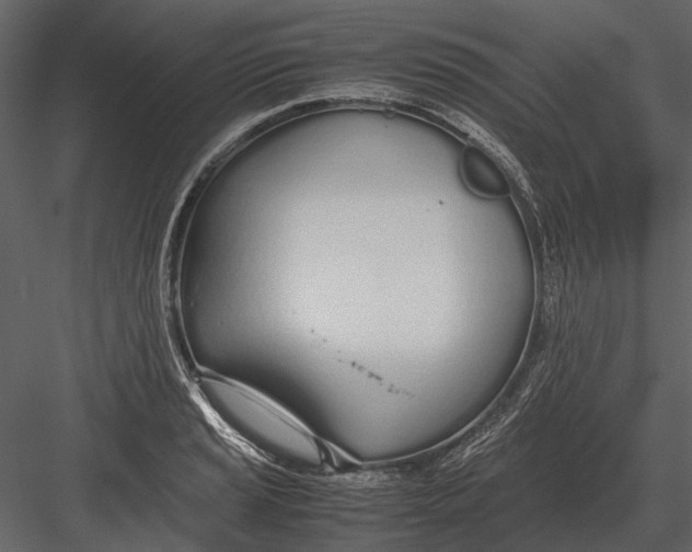 X0000083001037200702230121