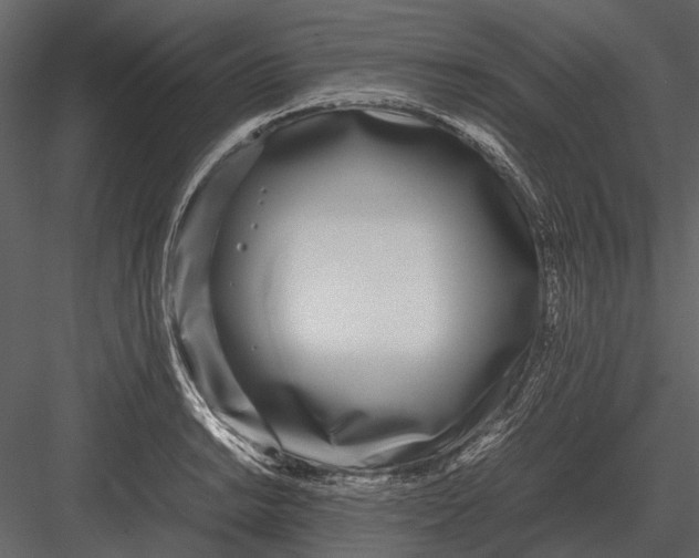 X0000083001038200702230121