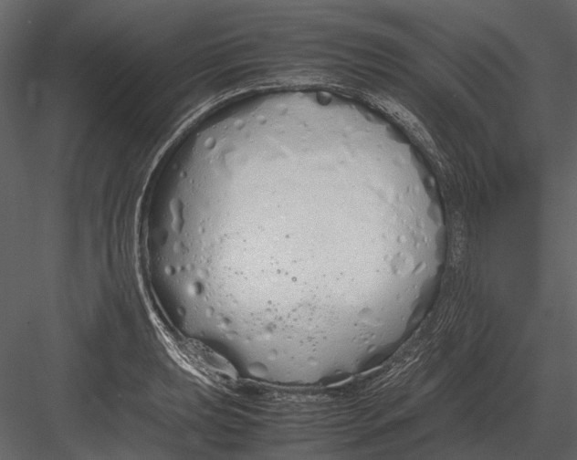 X0000083001039200702230121