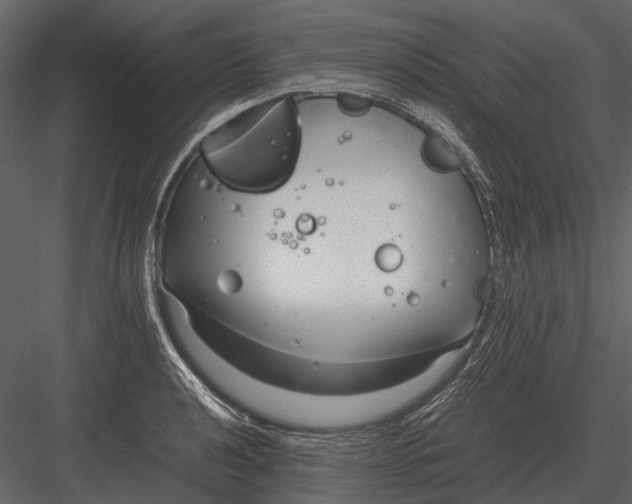 X0000083001040200702230121