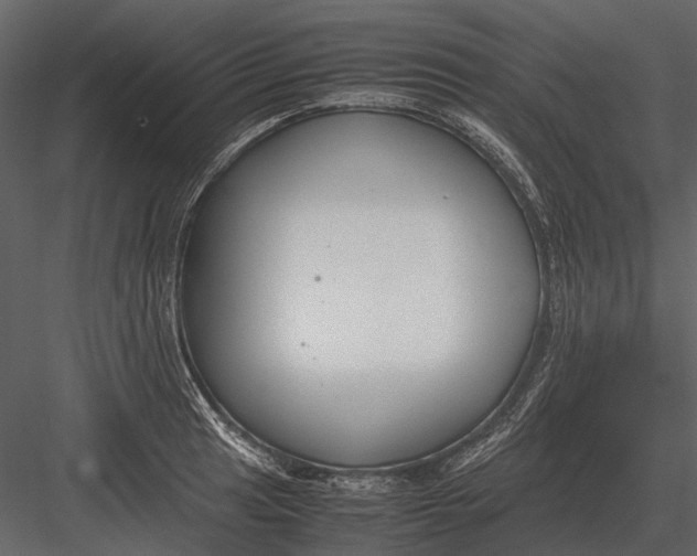 X0000083001041200702230121