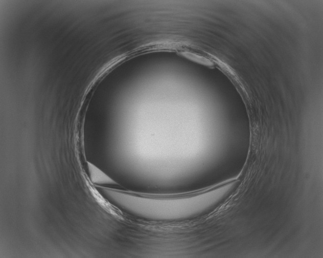 X0000083001042200702230121