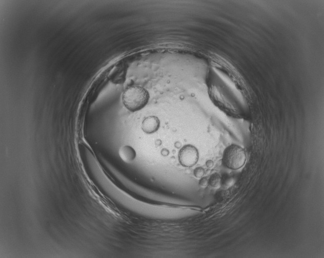 X0000083001043200702230121