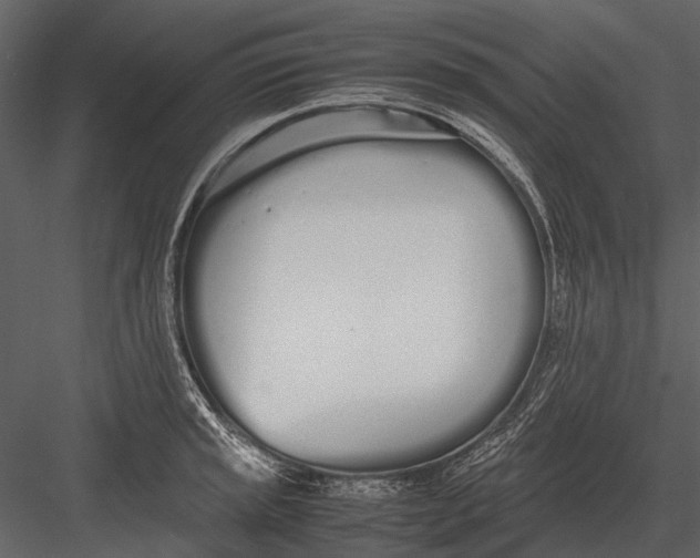 X0000083001045200702230121