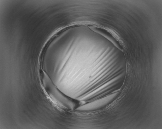 X0000083001046200702230121