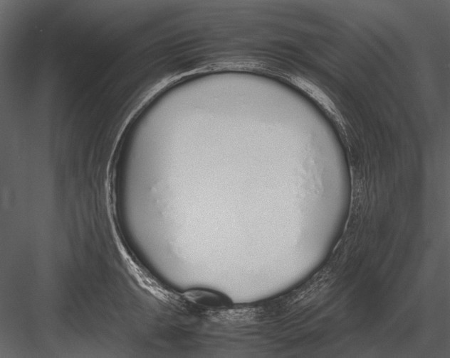 X0000083001047200702230121