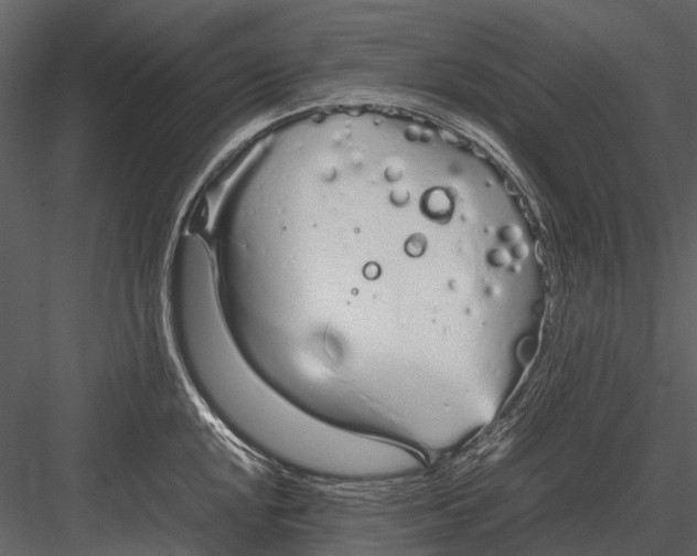 X0000083001048200702230121