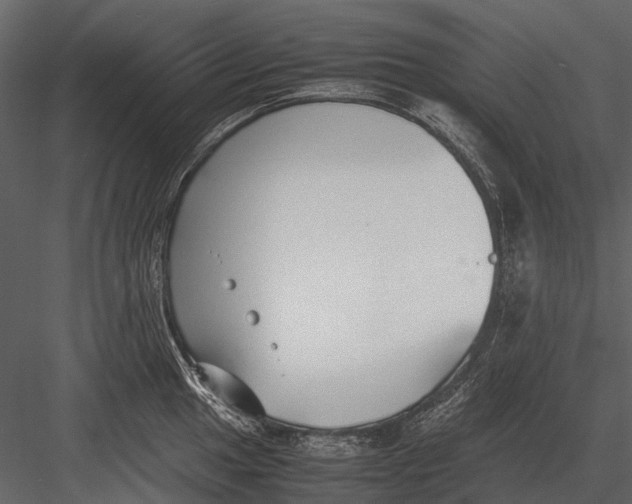 X0000083001049200702230121