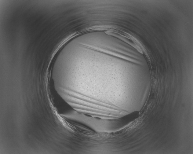 X0000083001050200702230121