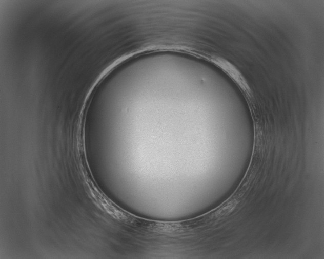 X0000083001052200702230121