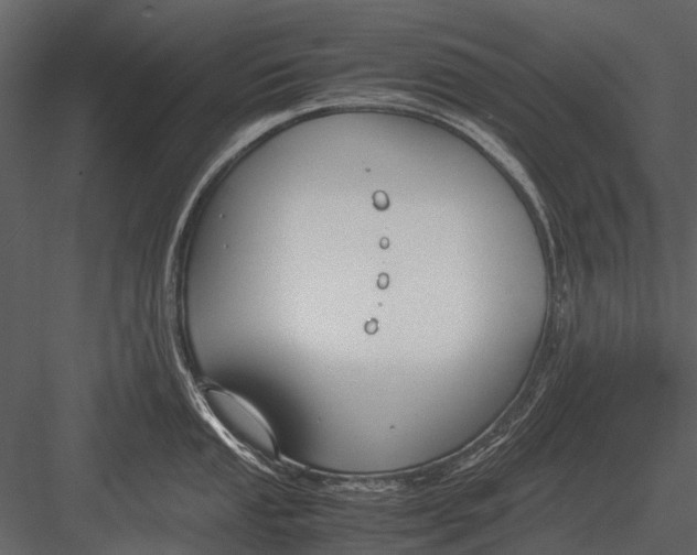 X0000083001053200702230121