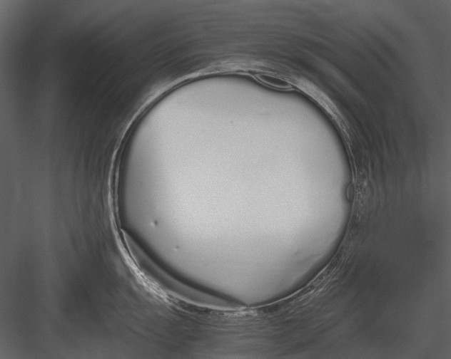 X0000083001055200702230121